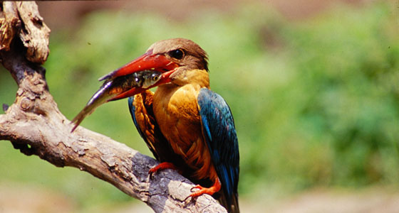 image05