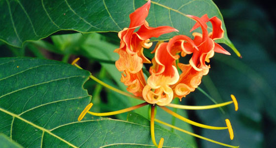 image07