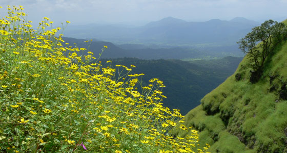 image08